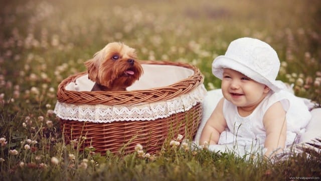 Small and Cute Baby Wallpaper download (12)