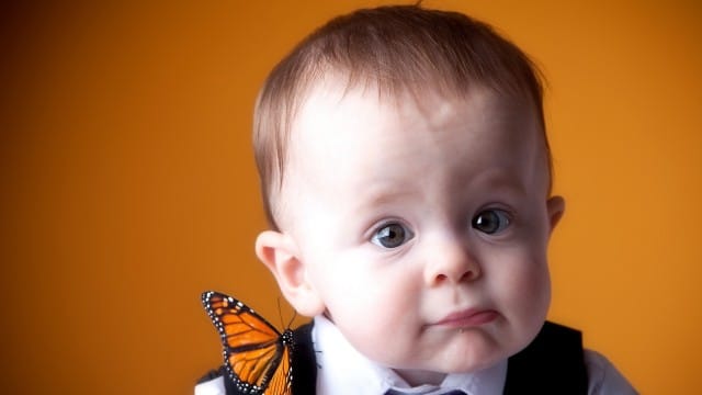 Small and Cute Baby Wallpaper download (14)