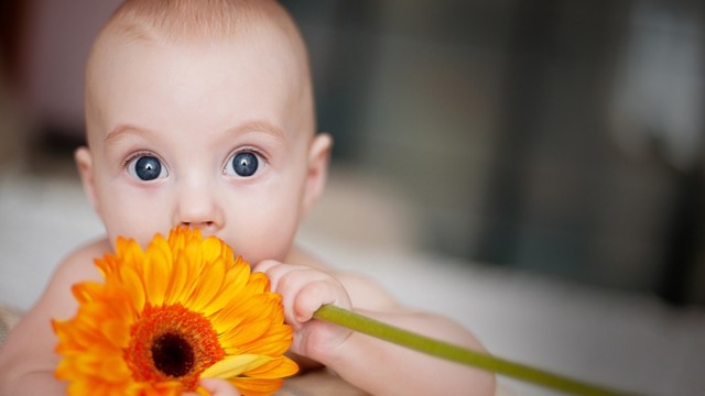 Small and Cute Baby Wallpaper download (41)
