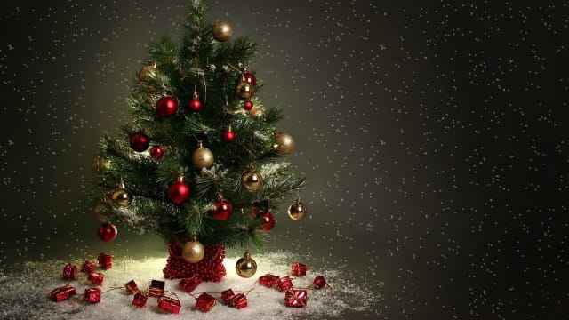 beautiful Christmas tree wallpaper (12)