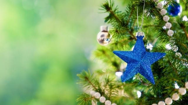 beautiful Christmas tree wallpaper (15)