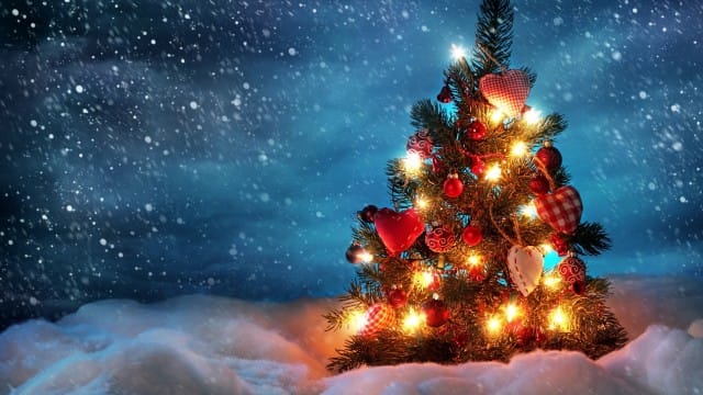 beautiful Christmas tree wallpaper (2)