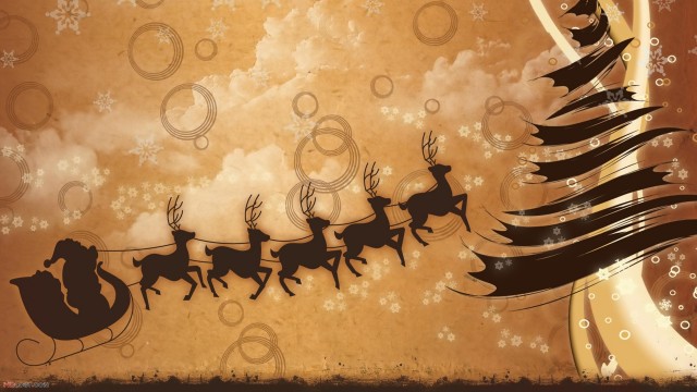 beautiful Christmas tree wallpaper (20)