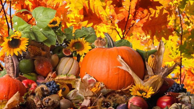 free-thanksgiving-wallpaper-and-background-19