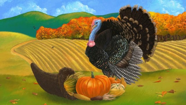 free-thanksgiving-wallpaper-and-background-21