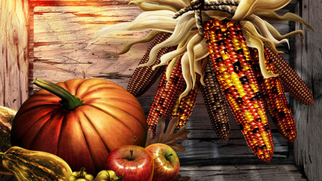 free-thanksgiving-wallpaper-and-background-42