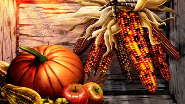 free-thanksgiving-wallpaper-and-background-42