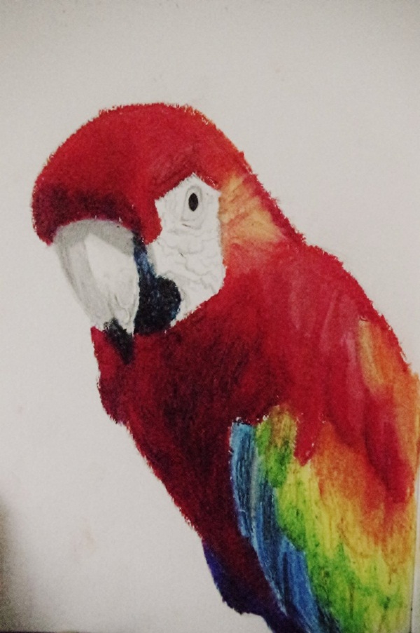 42 Easy Oil Pastel Drawings and Painting Ideas