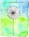 Easy Watercolor Painting Ideas for Beginners