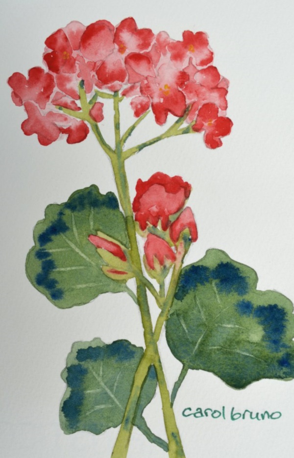 100 Easy Watercolor Painting Ideas for Beginners