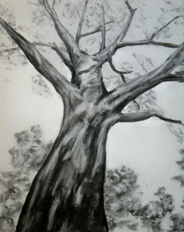 42 Artistic Charcoal Painting and Sketches for Beginners