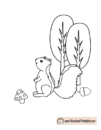 Printable Coloring Pages