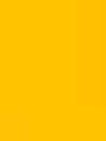 Different Shades of Yellow Color Names