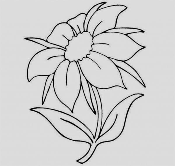 Cute Drawings Of Flowers Simple ~ Pencil Drawings | Dale Sylvia