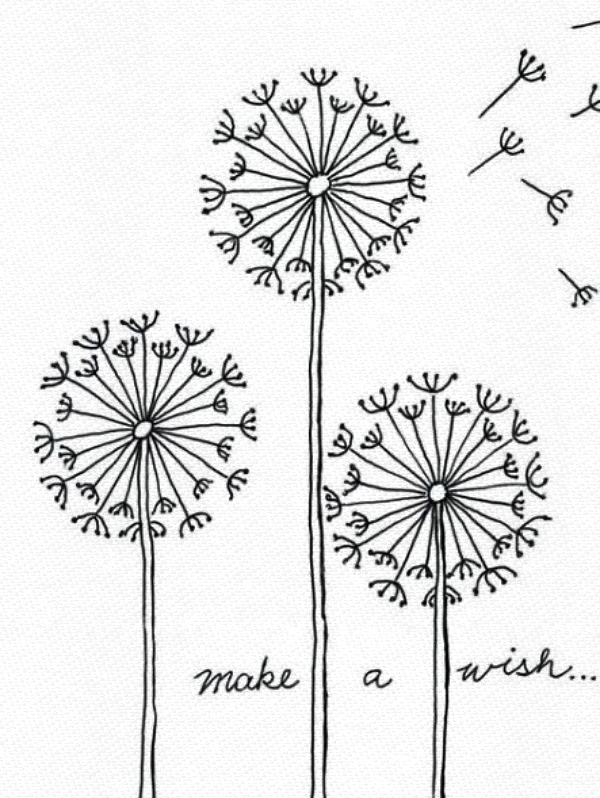 Easy Flower Drawing Ideas