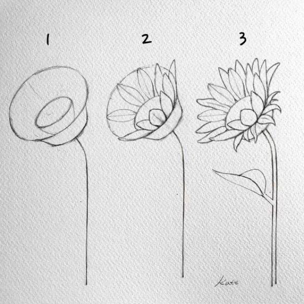 Easy Flower Drawing Ideas