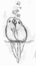 Parrots : Cool and Easy Things to Draw when bored