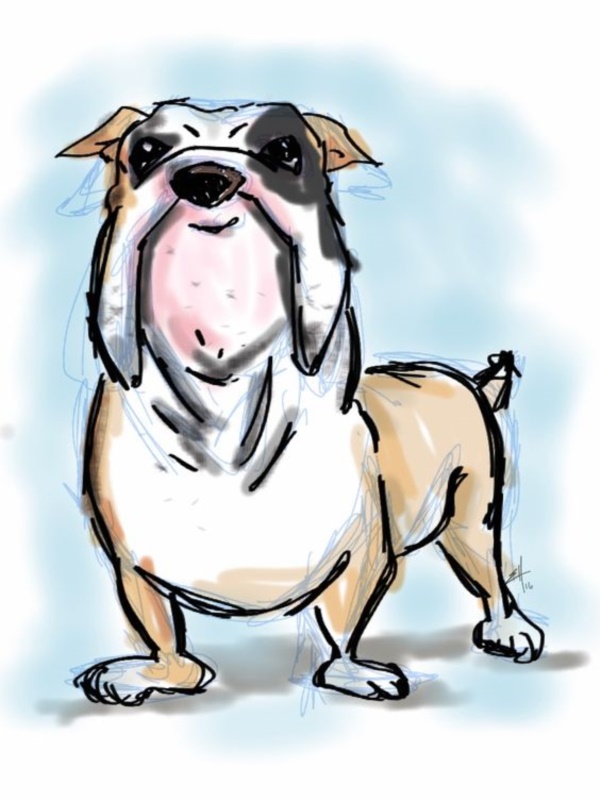 cute-cartoon-dog-caricature-images-hd