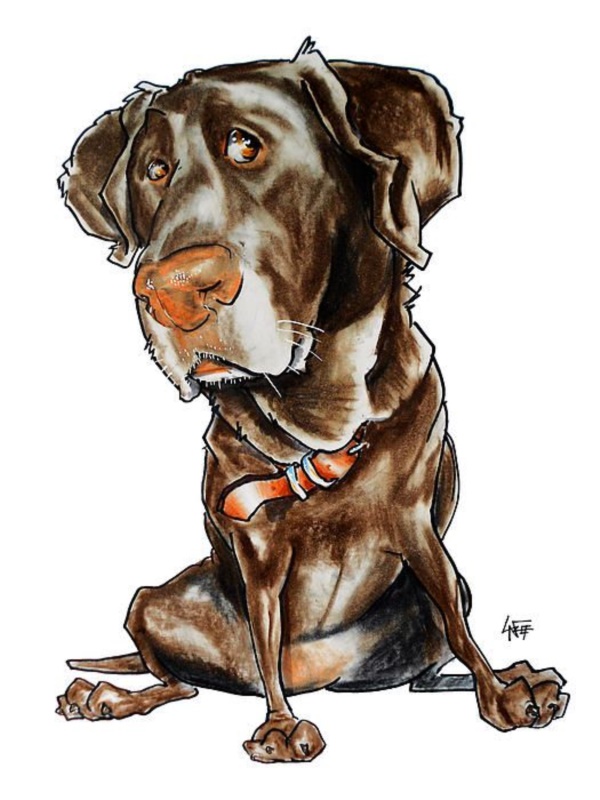 cute-cartoon-dog-caricature-images-hd