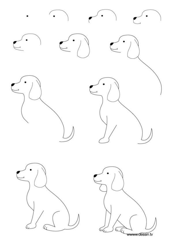 how-to-draw-a-dog-step-by-step-easily