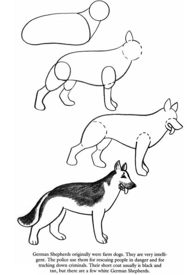 how-to-draw-a-dog-step-by-step-easily