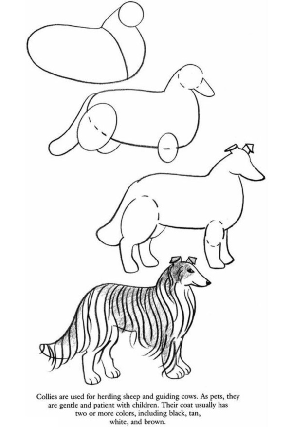 how-to-draw-a-dog-step-by-step-easily