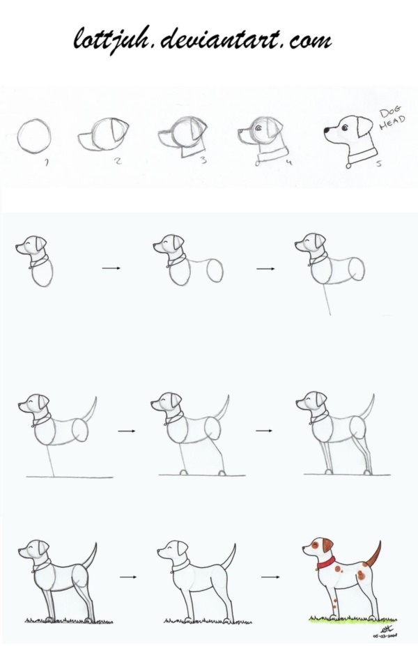 how-to-draw-a-dog-step-by-step-easily