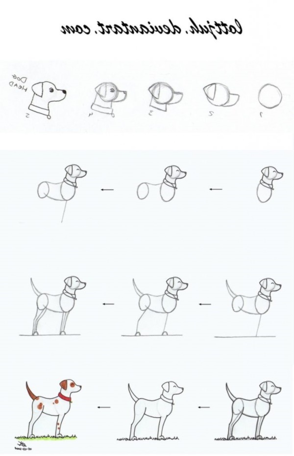 How to draw a Dog Step By Step Easily (35 Ideas)