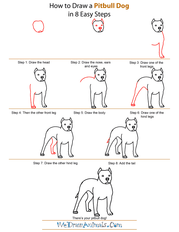 how-to-draw-a-dog-step-by-step-easily