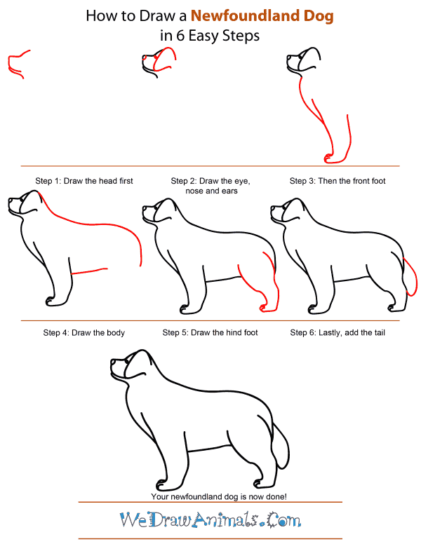 how-to-draw-a-dog-step-by-step-easily