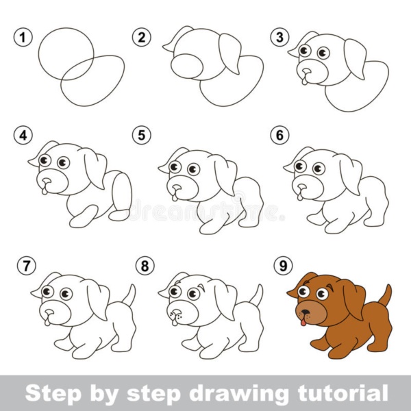 how-to-draw-a-dog-step-by-step-easily