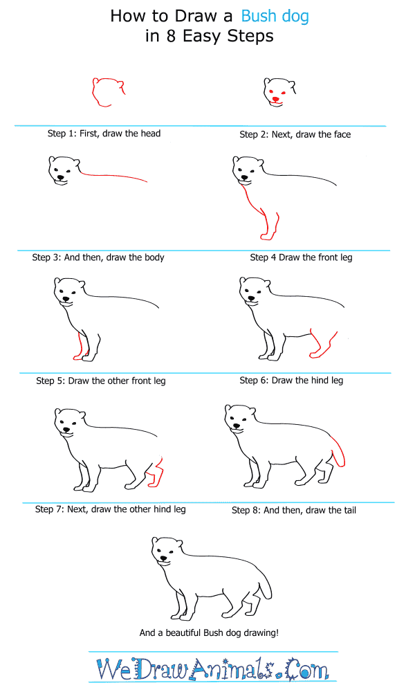 how-to-draw-a-dog-step-by-step-easily