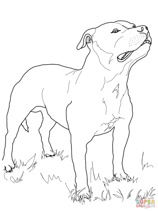 how-to-draw-a-dog-step-by-step-easily