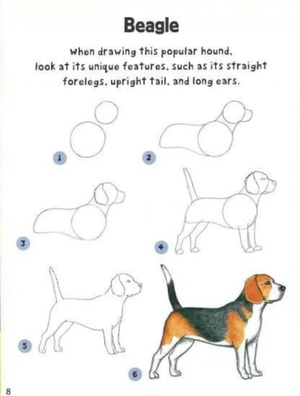 how-to-draw-a-dog-step-by-step-easily