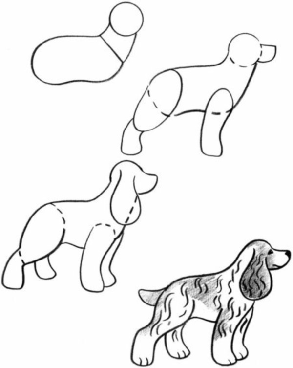 how-to-draw-a-dog-step-by-step-easily