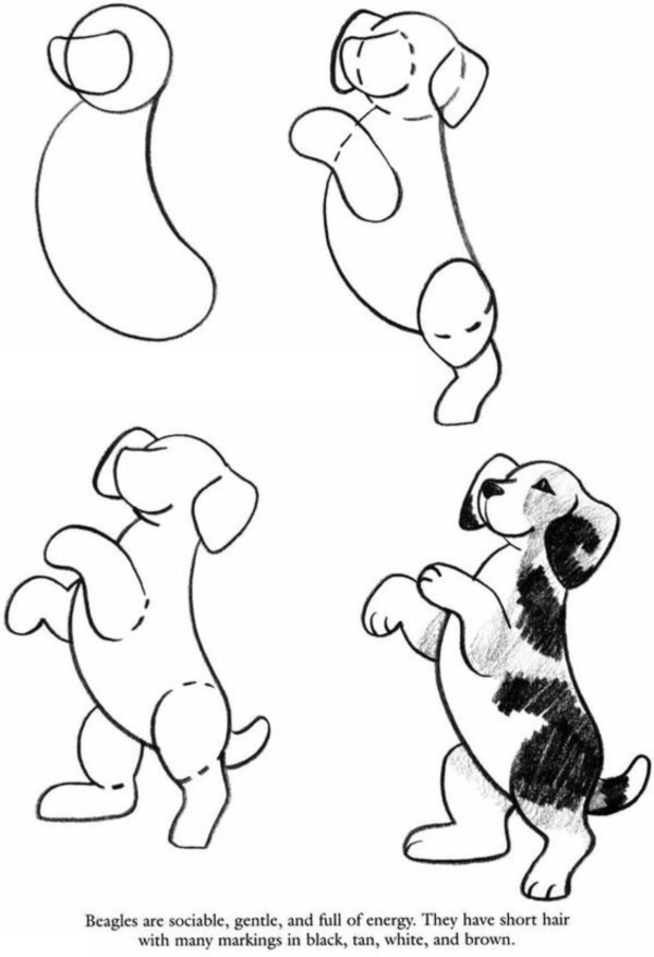 how-to-draw-a-dog-step-by-step-easily