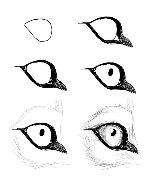 impressive-ways-to-draw-an-eye-easily