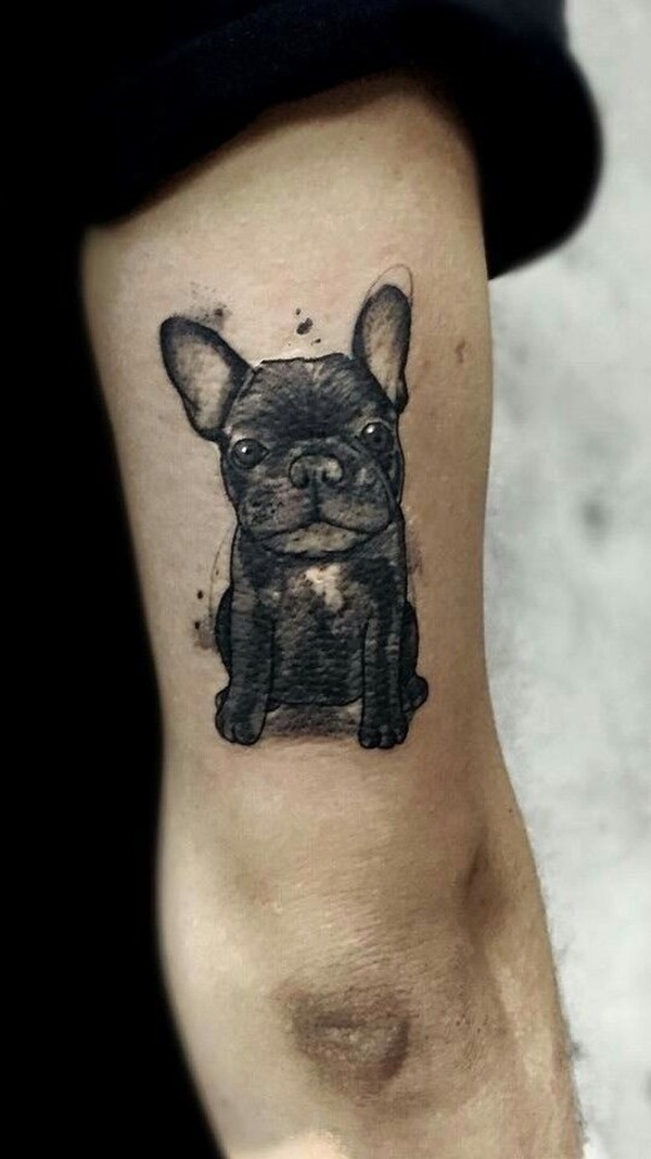 35 Cute Dog Tattoo Designs to make Your Friendship Alive Forever