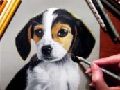 How to draw a Dog Step By Step Easily