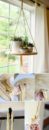 Low Sunlight Indoor Plants For Your Home Decor