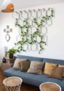 Low Sunlight Indoor Plants For Your Home Decor