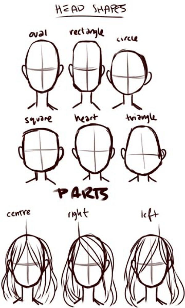 How to Draw a Male or Female Face