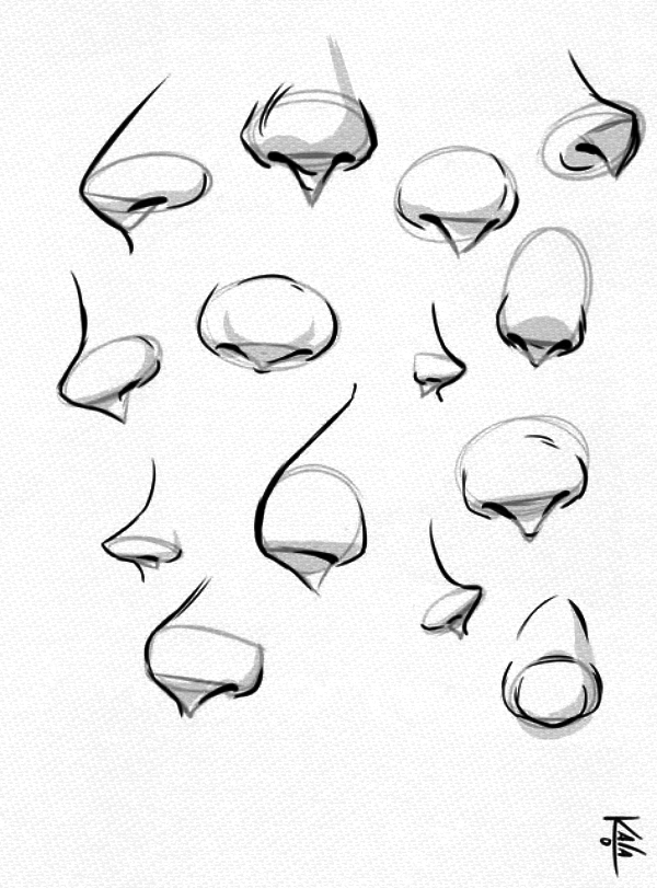 How a Draw Nose