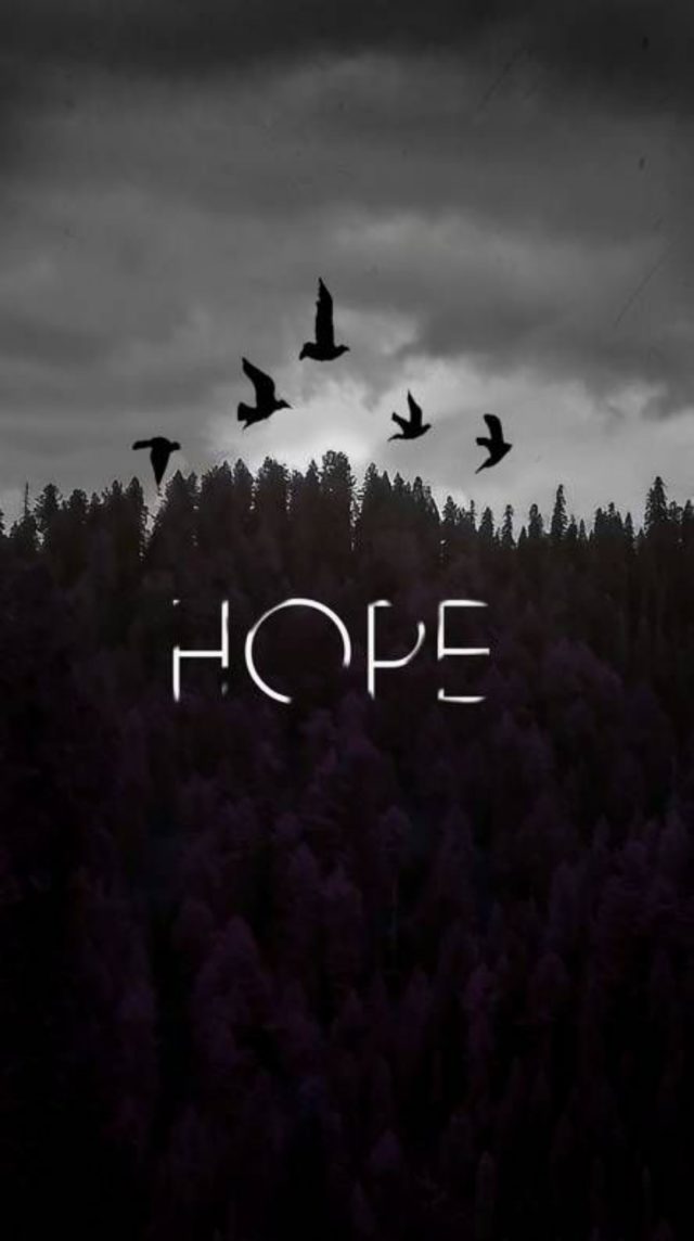 35 Hd Iphone Wallpaper Quotes For Continues Motivation Cartoon District