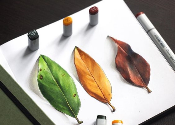 Truly-Amazing-3d-drawings-that-will-blow-your-mind