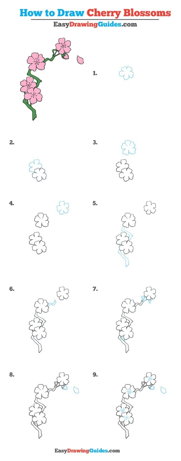 Simple and Easy Flower Drawings for Beginners