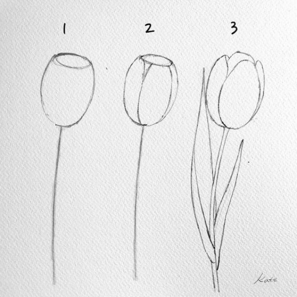 Simple and Easy Flower Drawings for Beginners