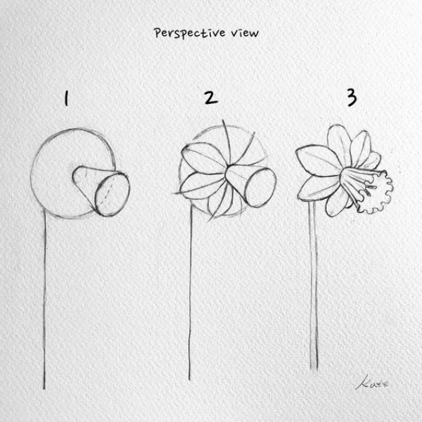 Simple and Easy Flower Drawings for Beginners