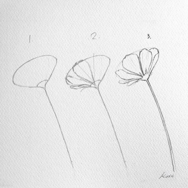 Simple and Easy Flower Drawings for Beginners