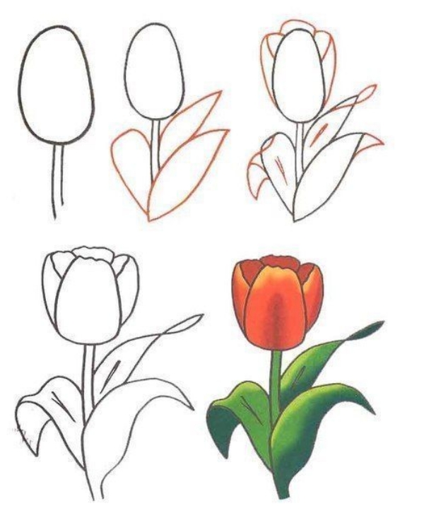 Simple and Easy Flower Drawings for Beginners